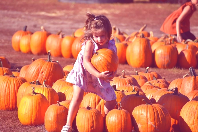 Girl sitting among orange pumpkins at the Twin Cities Harvest Festival pumpkin patch in Brooklyn Park, MN