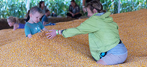 300x140-corn-pit