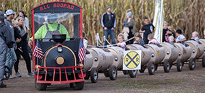 300x140-train-1